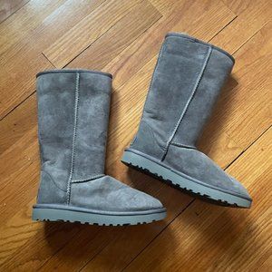 NWT Tall Ugg Boots